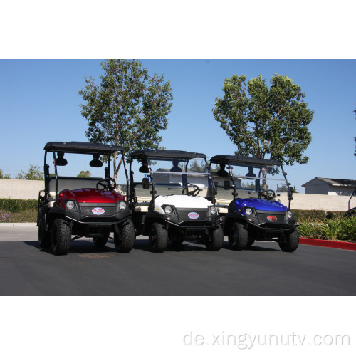 5kw Electric UTV EC Electric Golf Cart